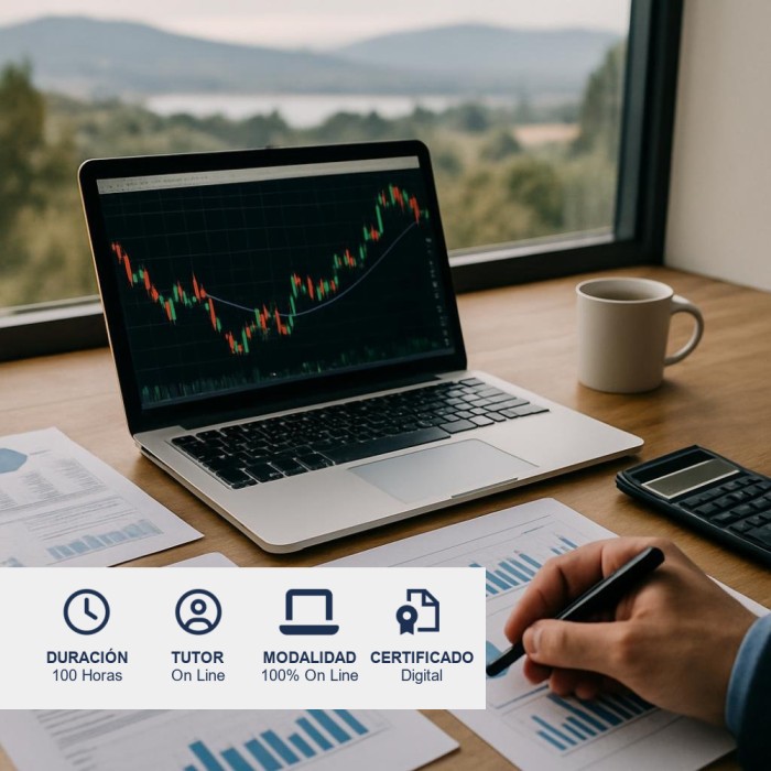 Curso de Macroeconomía Financiera